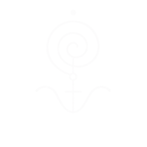 The Venus Rose