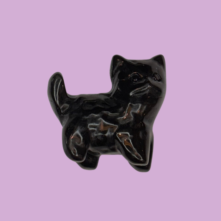 Obsidian Kitten