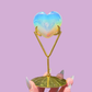 Celestial Crystal Display Stand